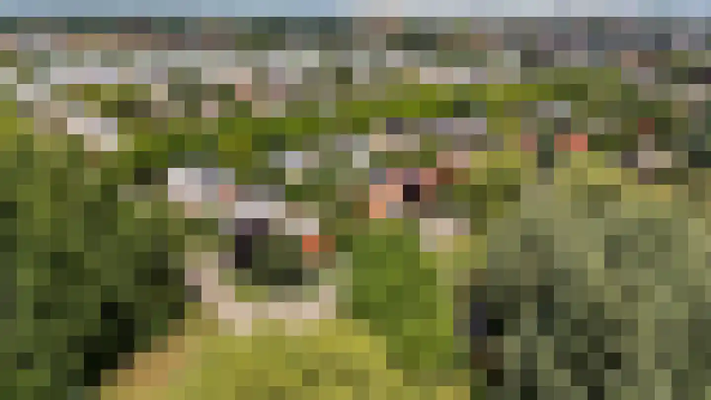 Robijnplantsoen 1 Almere thumbnail 64