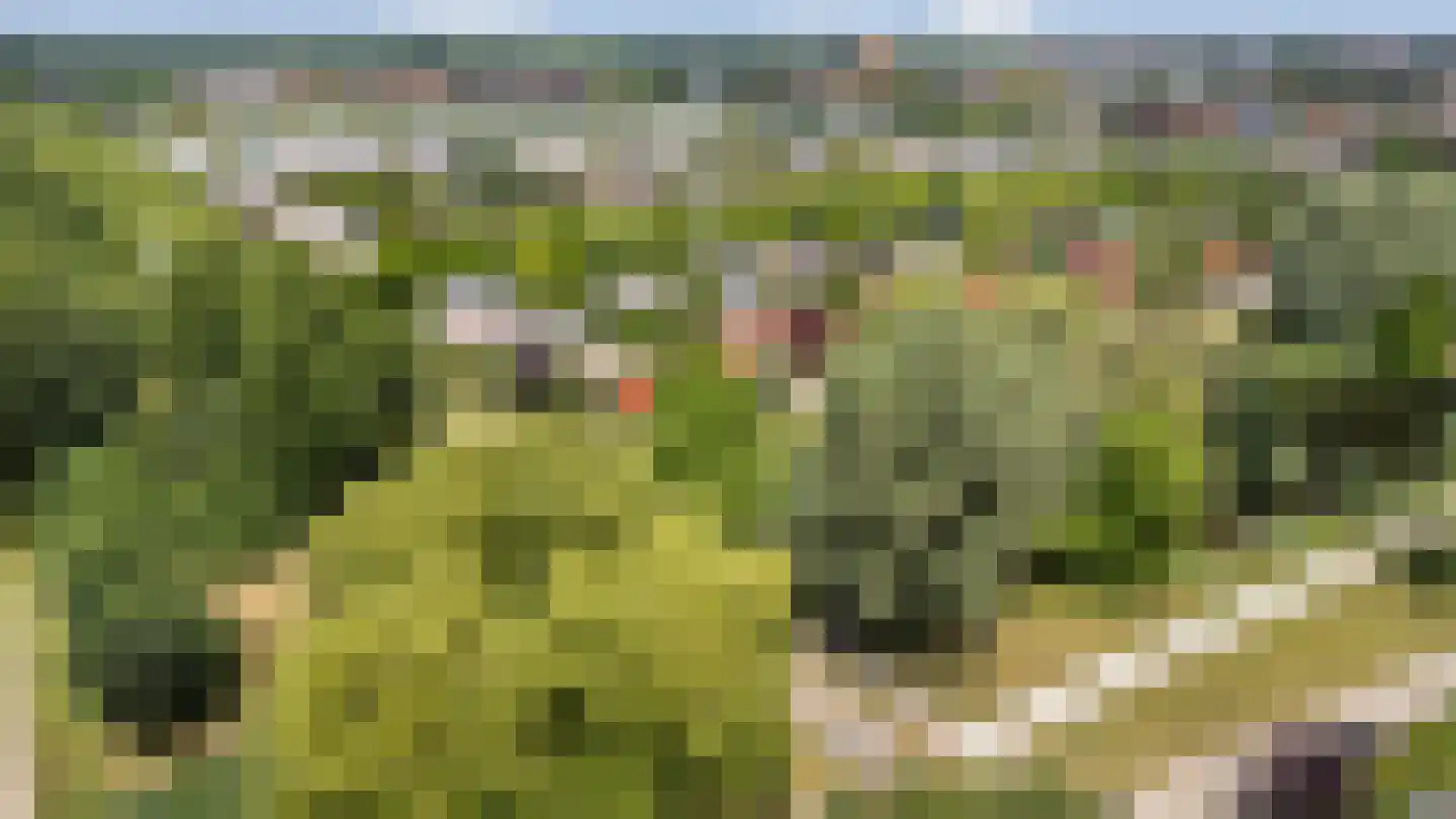 Robijnplantsoen 1 Almere thumbnail 65