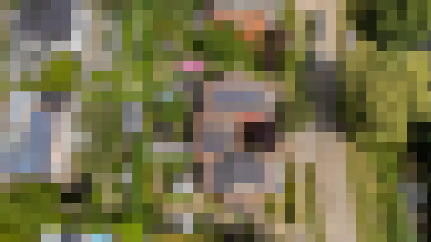 Robijnplantsoen 1 Almere thumbnail 66