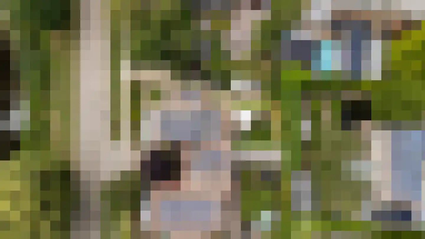 Robijnplantsoen 1 Almere thumbnail 68