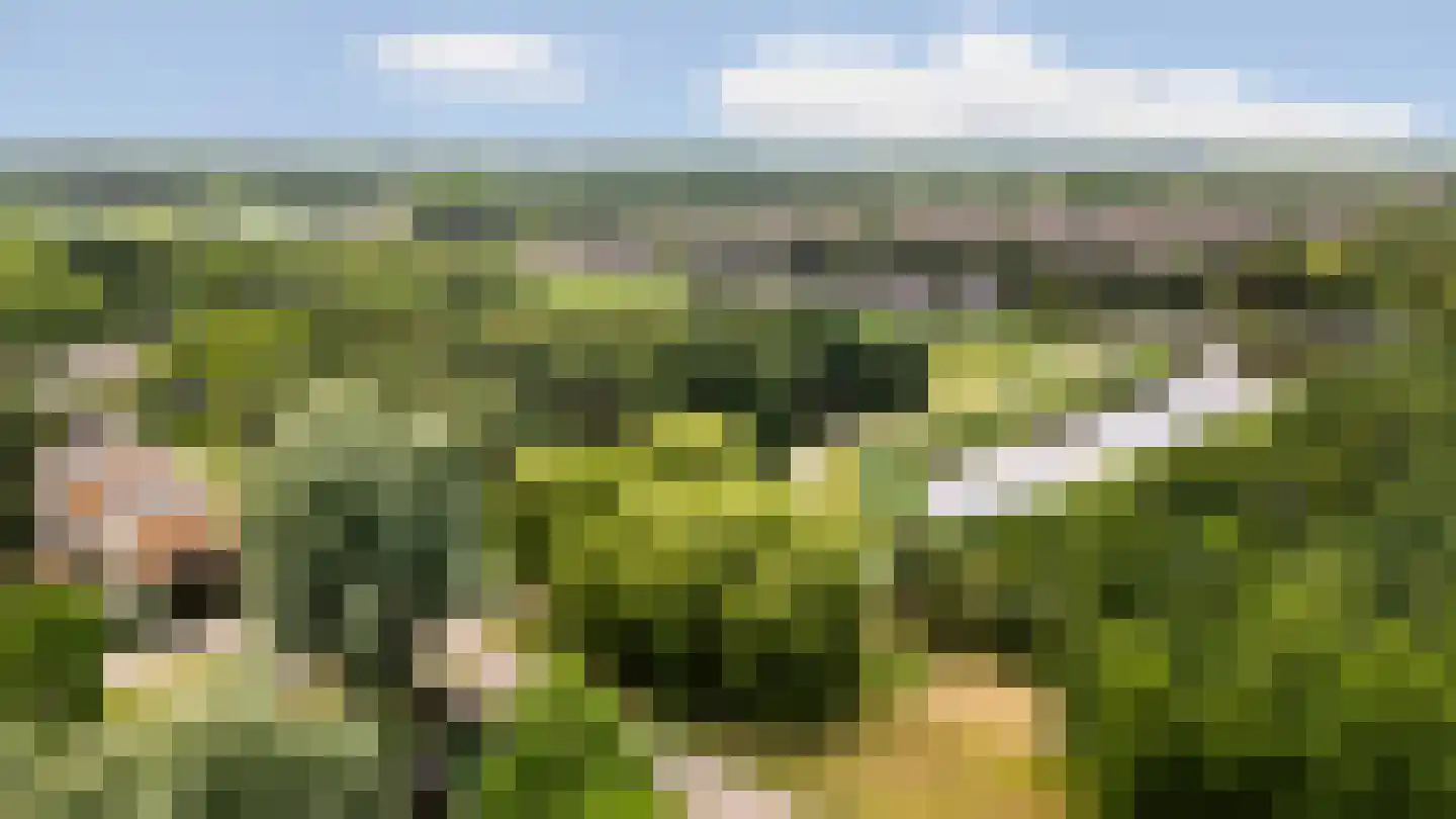 Robijnplantsoen 1 Almere thumbnail 69