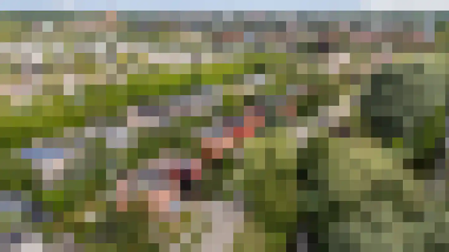 Robijnplantsoen 1 Almere thumbnail 70