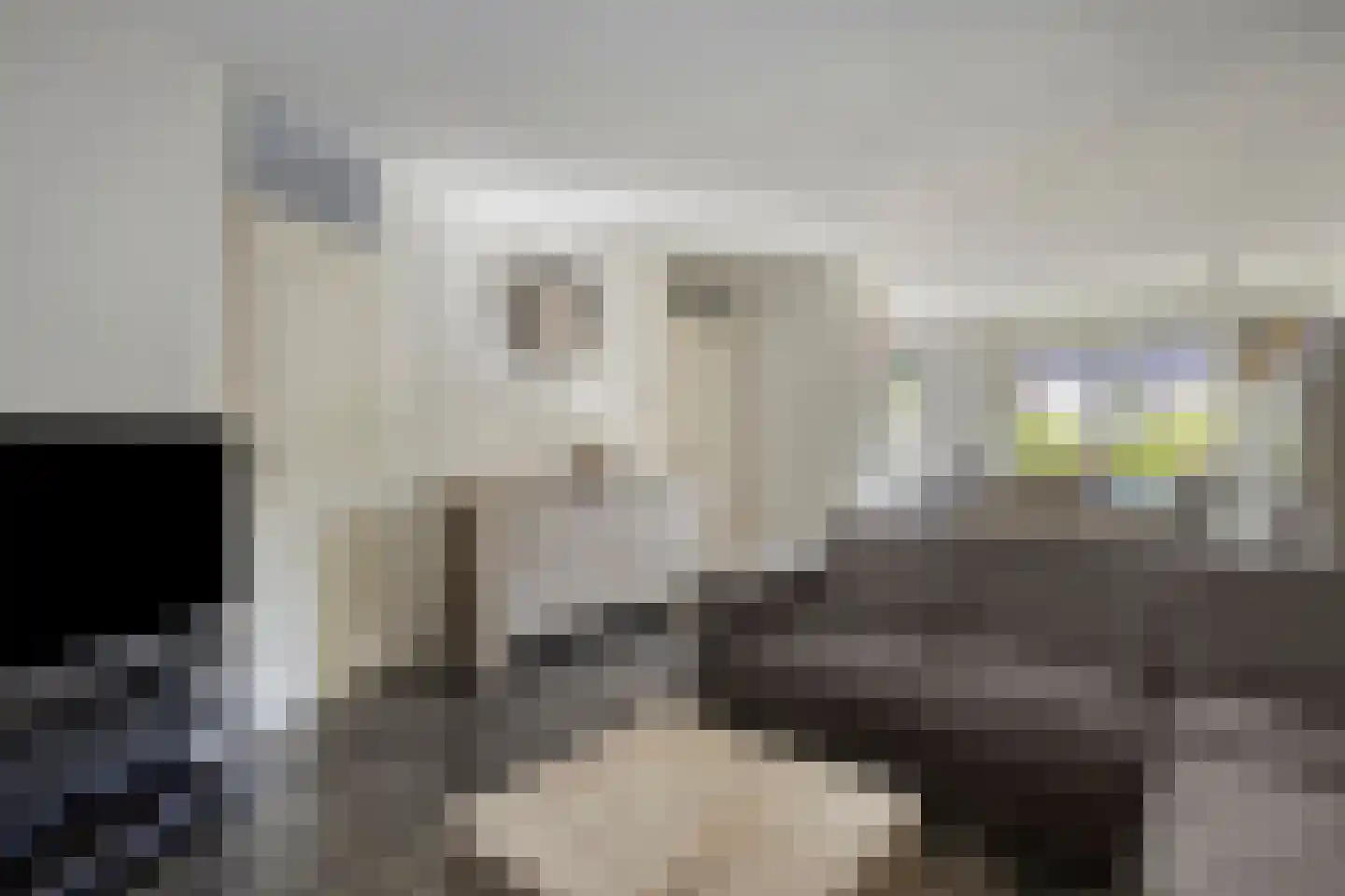 Robijnring 62 Eindhoven thumbnail 14