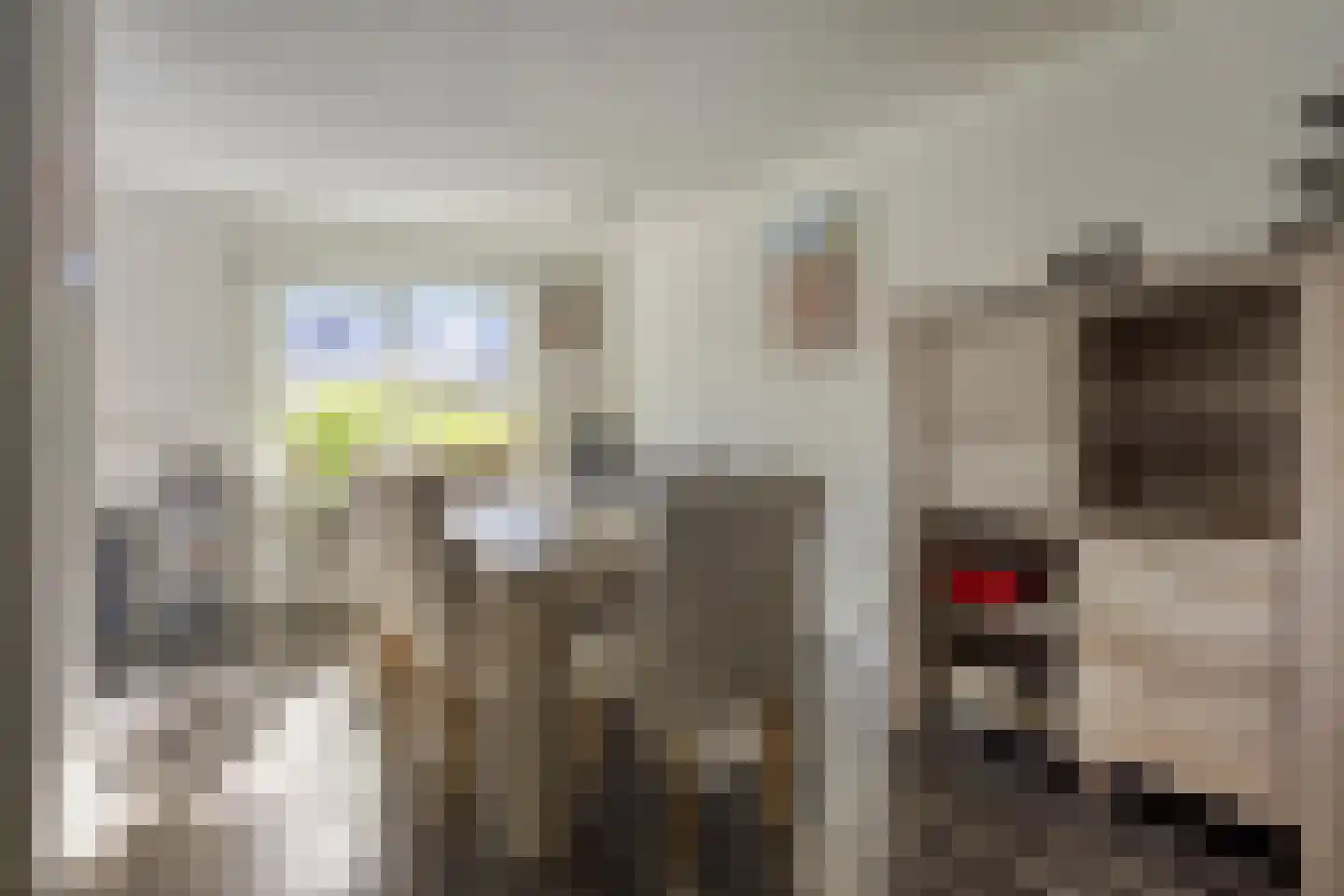 Robijnring 62 Eindhoven thumbnail 17