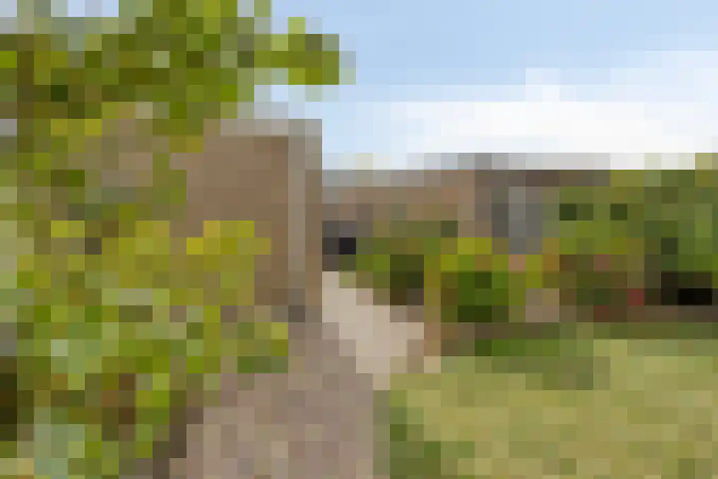 Robijnring 62 Eindhoven thumbnail 39