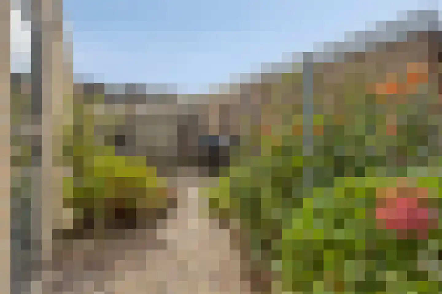 Robijnring 62 Eindhoven thumbnail 40