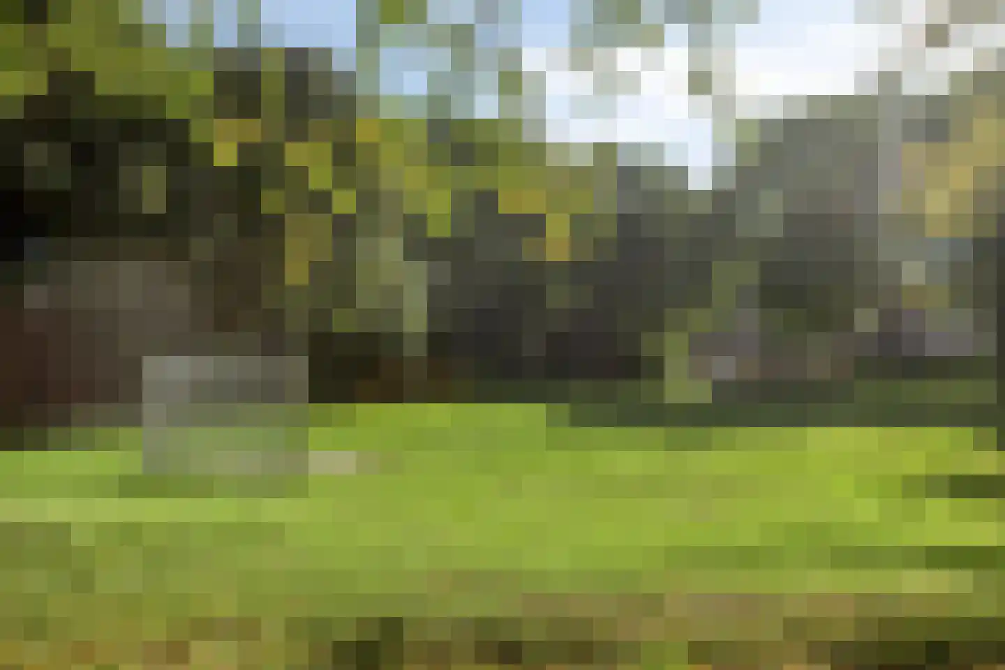 Robijnring 62 Eindhoven thumbnail 45