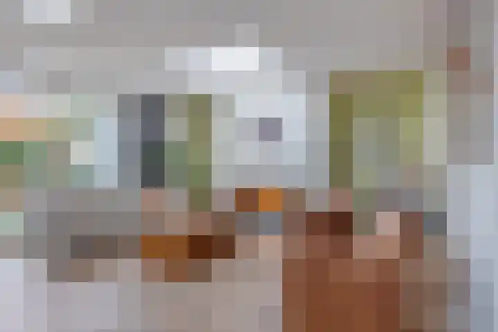Robijnring 69 Eindhoven thumbnail 14