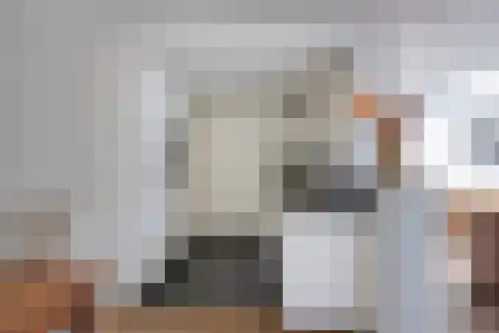 Robijnring 69 Eindhoven thumbnail 18