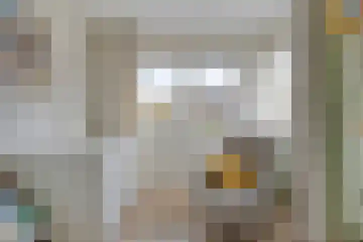 Robijnring 69 Eindhoven thumbnail 24
