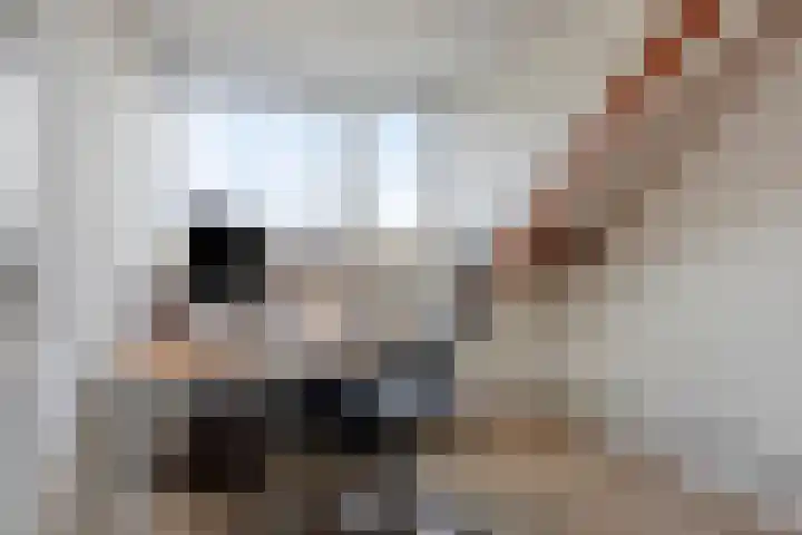 Robijnring 69 Eindhoven thumbnail 28