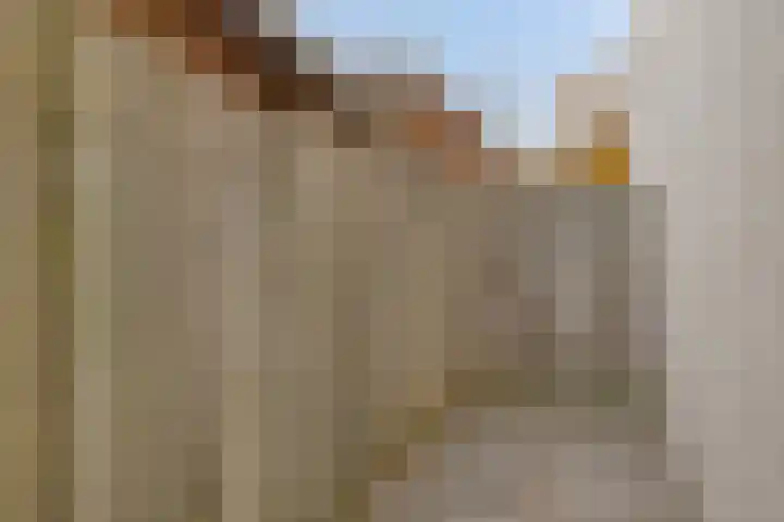 Robijnring 69 Eindhoven thumbnail 33