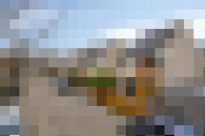 Robijnring 69 Eindhoven thumbnail 44