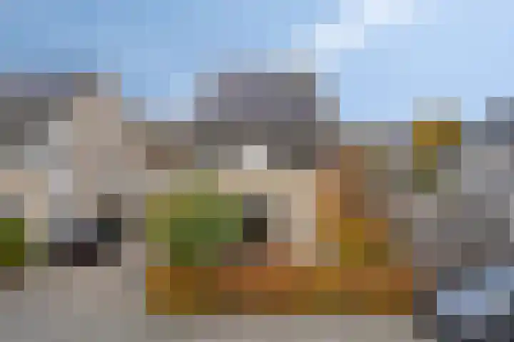 Robijnring 69 Eindhoven thumbnail 45