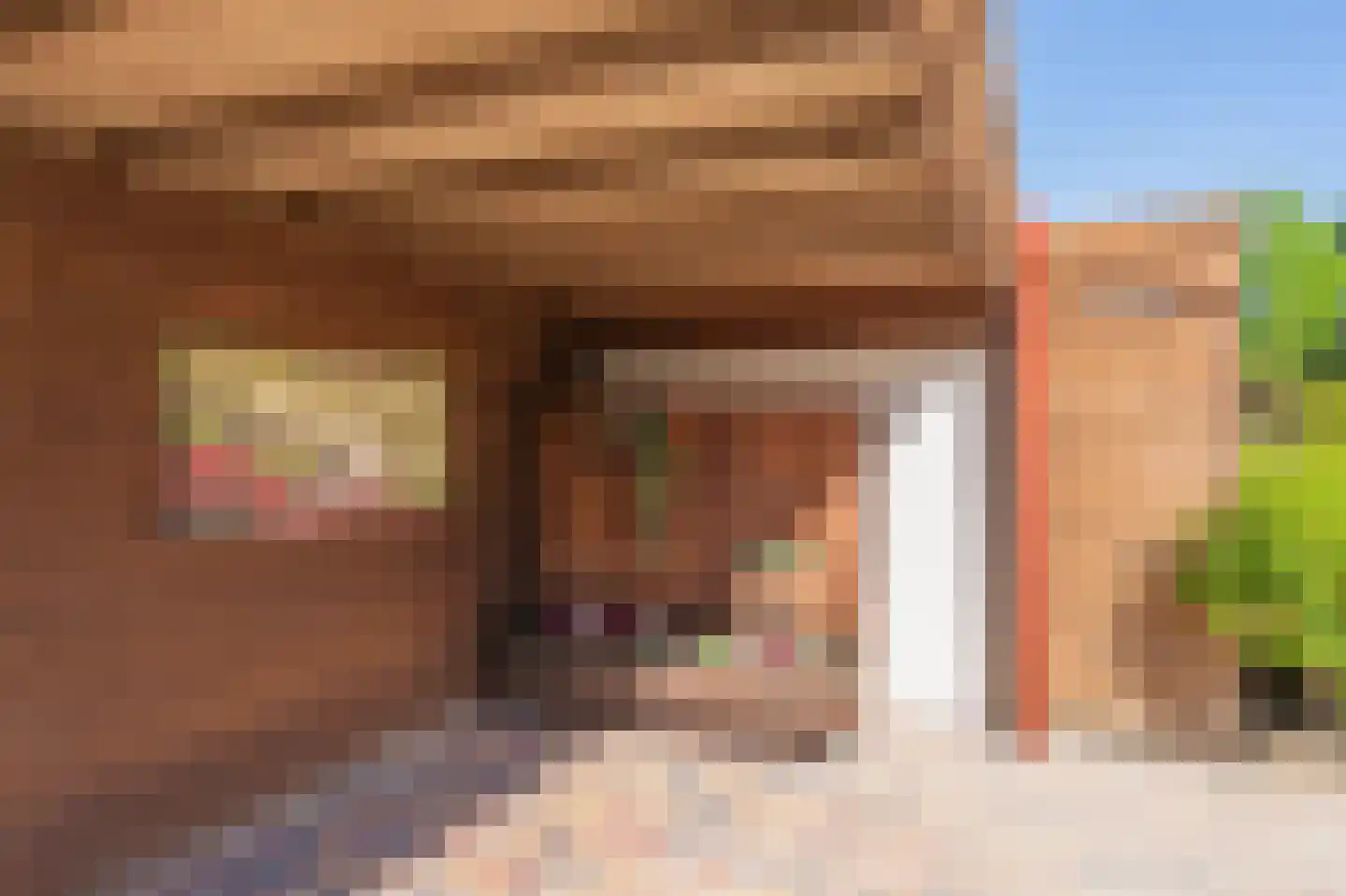 Robijnstoep 10 Assen thumbnail 10
