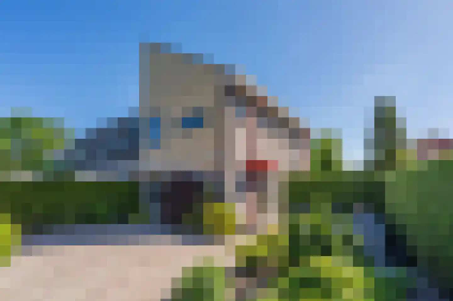 Robijnstoep 10 Assen thumbnail 12