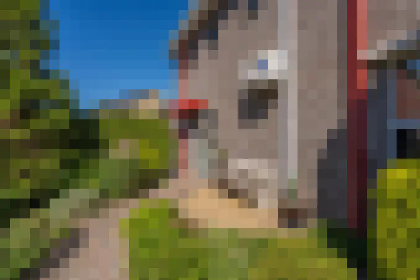 Robijnstoep 10 Assen thumbnail 13