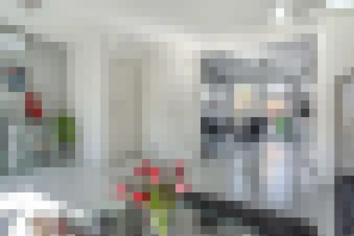 Robijnstoep 10 Assen thumbnail 18