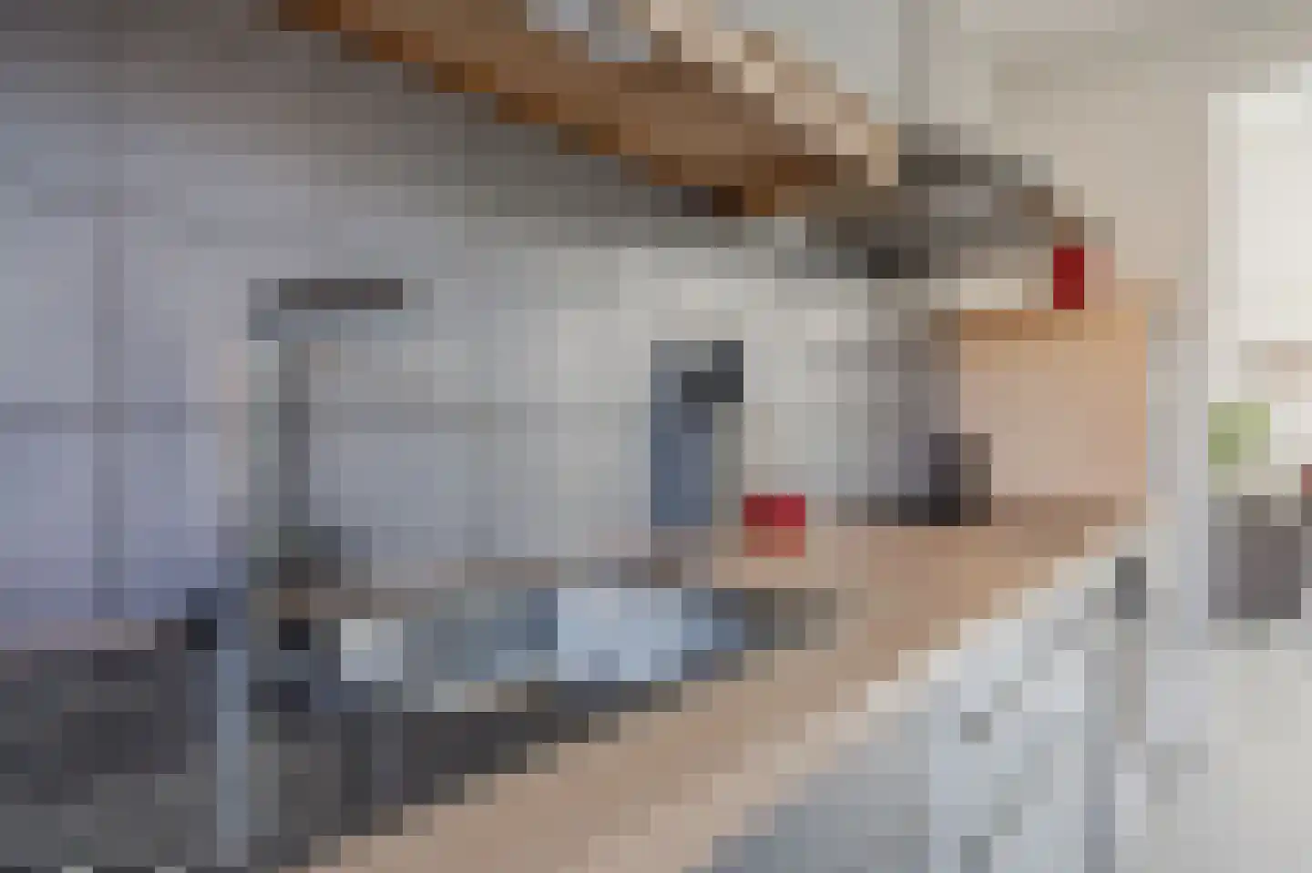Robijnstoep 10 Assen thumbnail 22