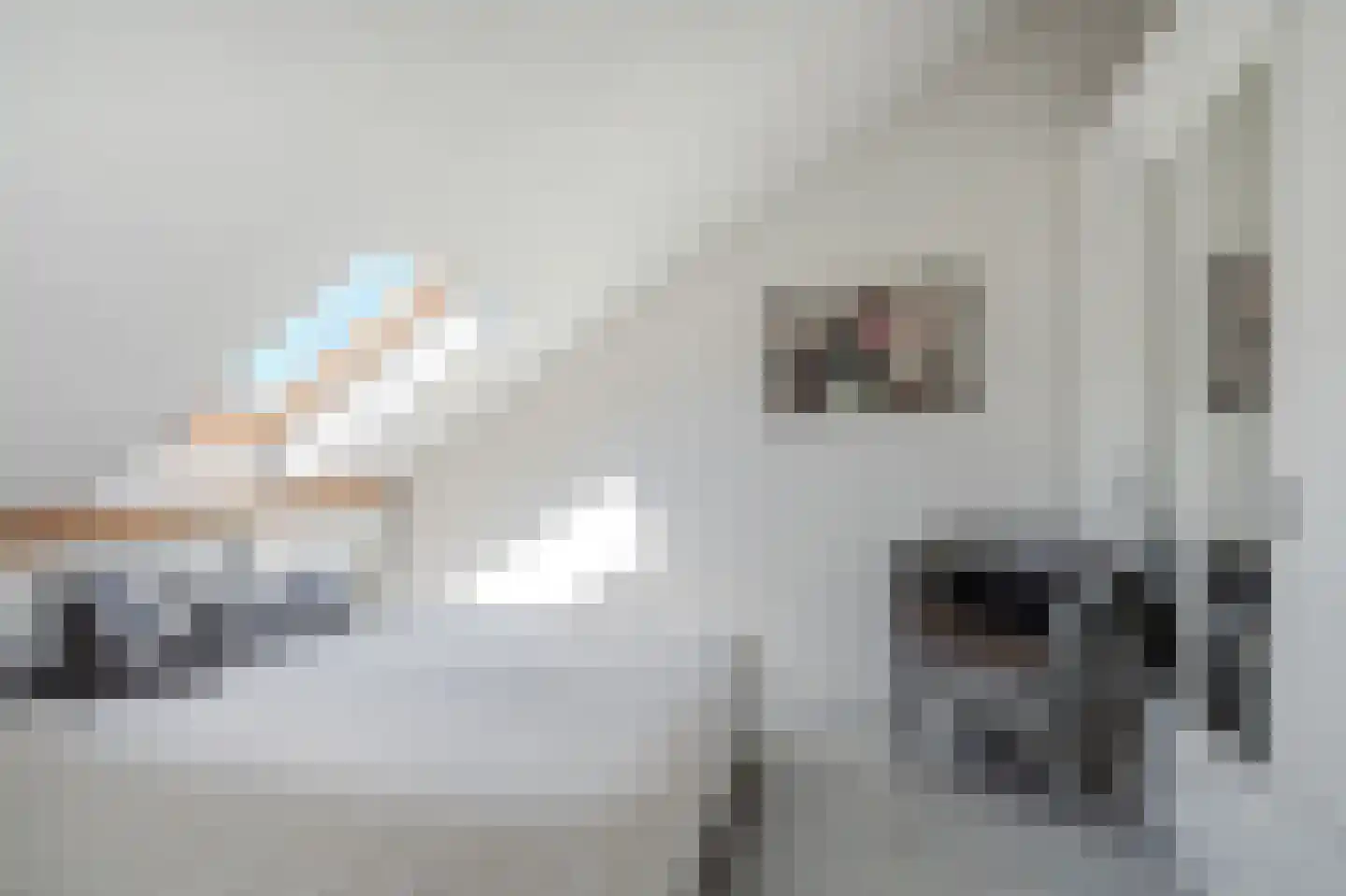 Robijnstoep 10 Assen thumbnail 35