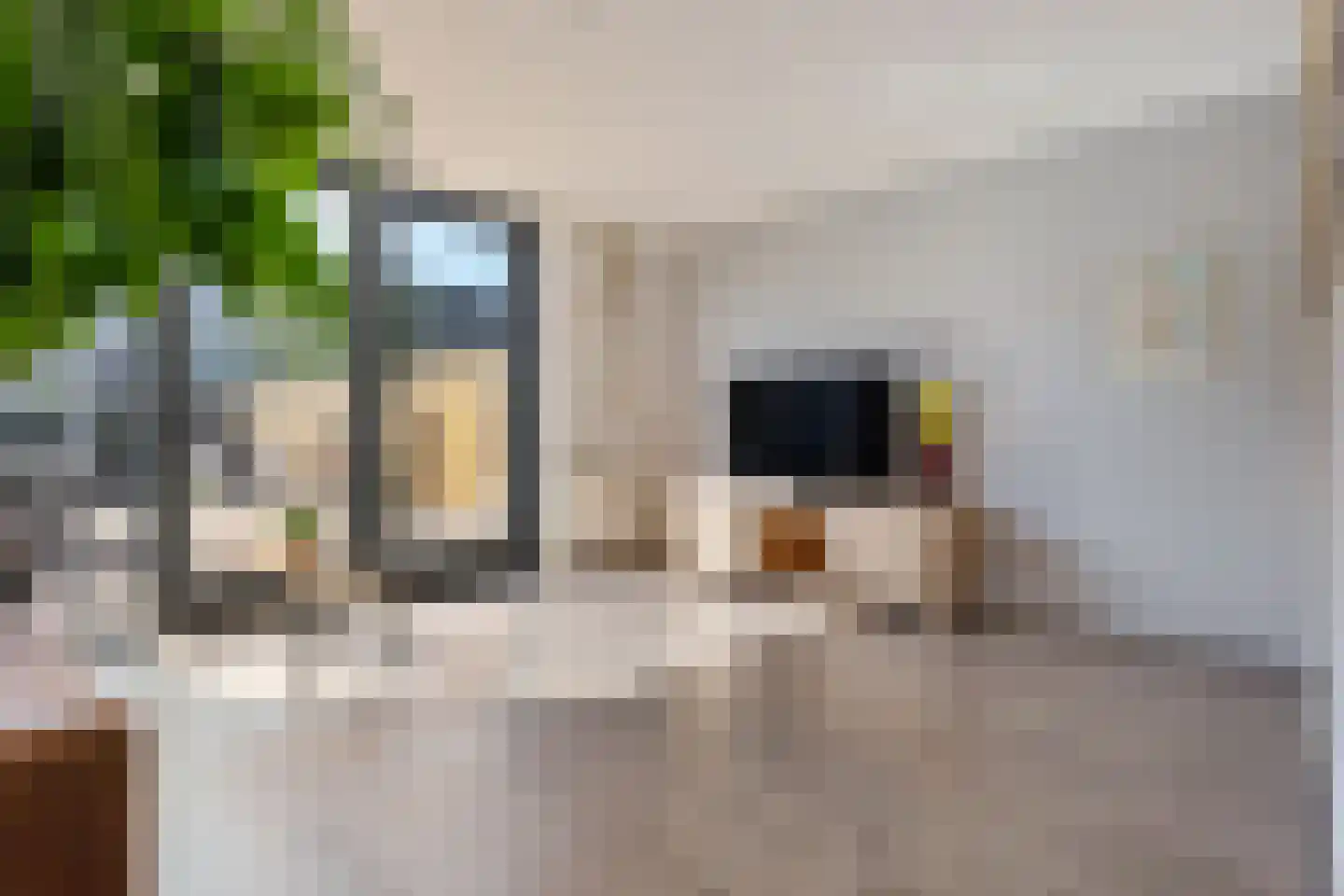 Robijnstoep 11 Assen thumbnail 18