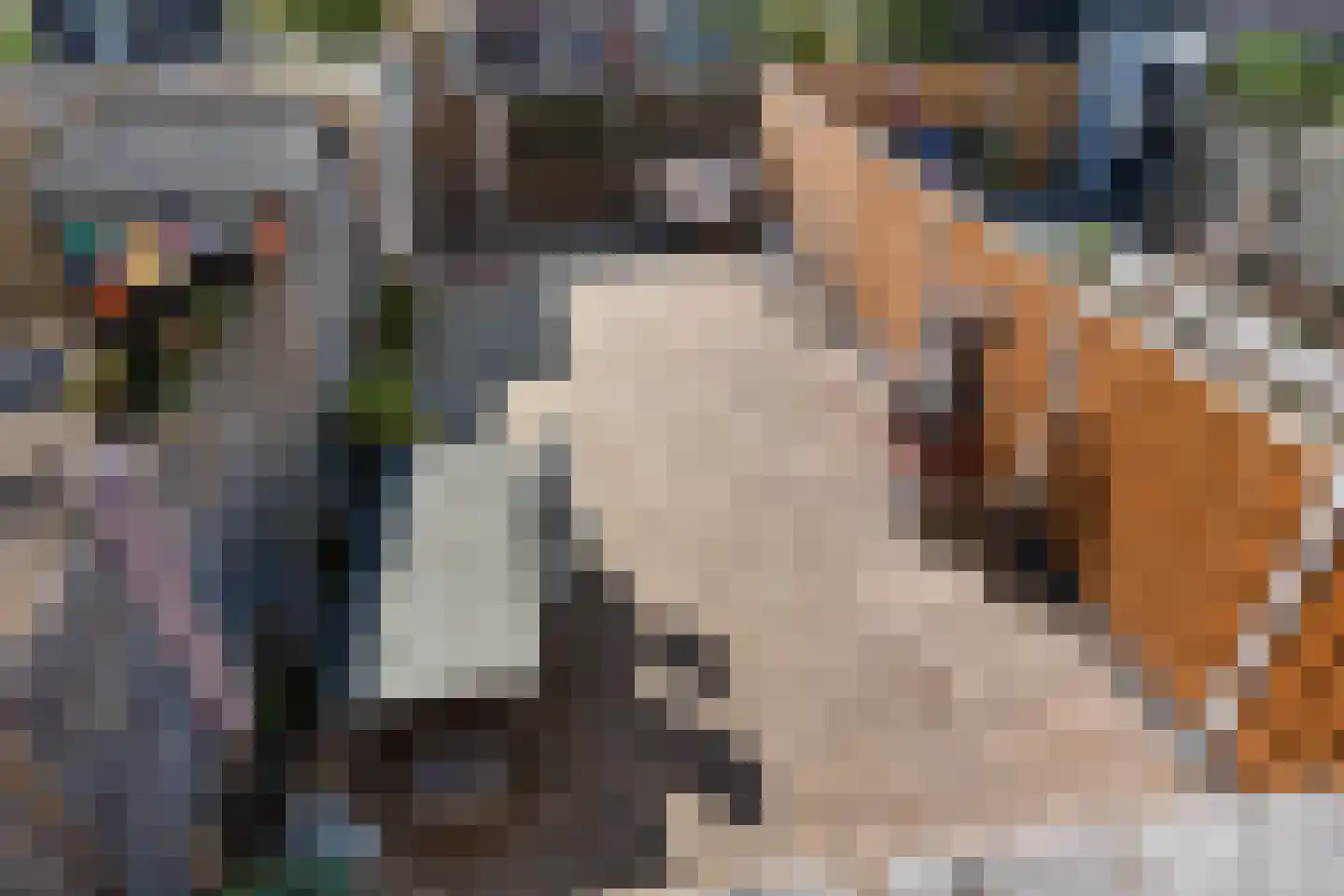 Robijnstoep 11 Assen thumbnail 27