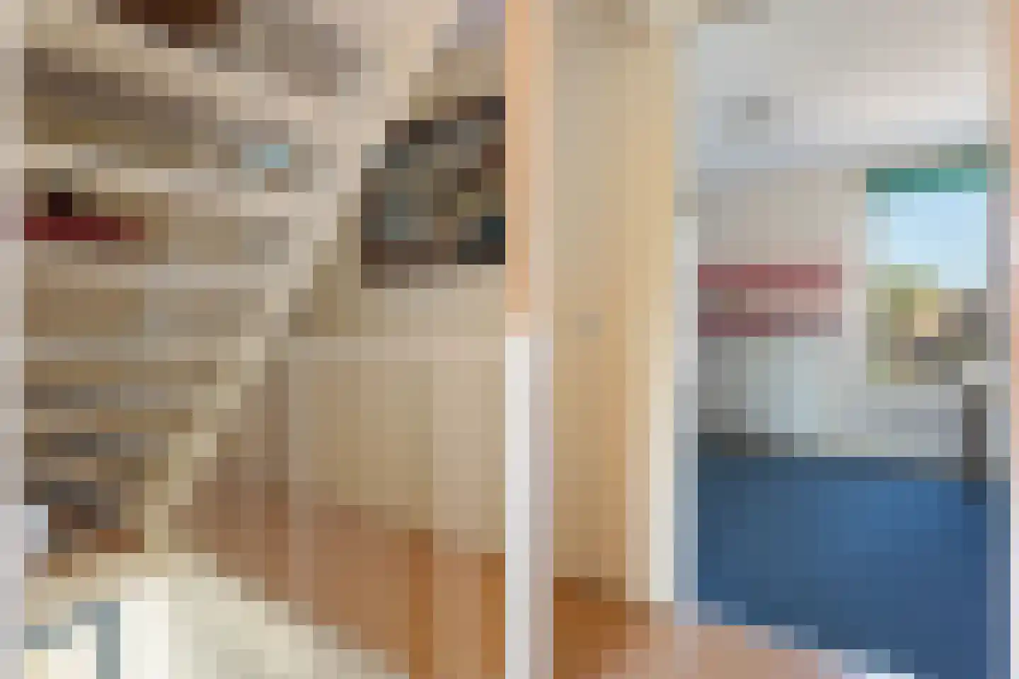 Robijnstoep 11 Assen thumbnail 31