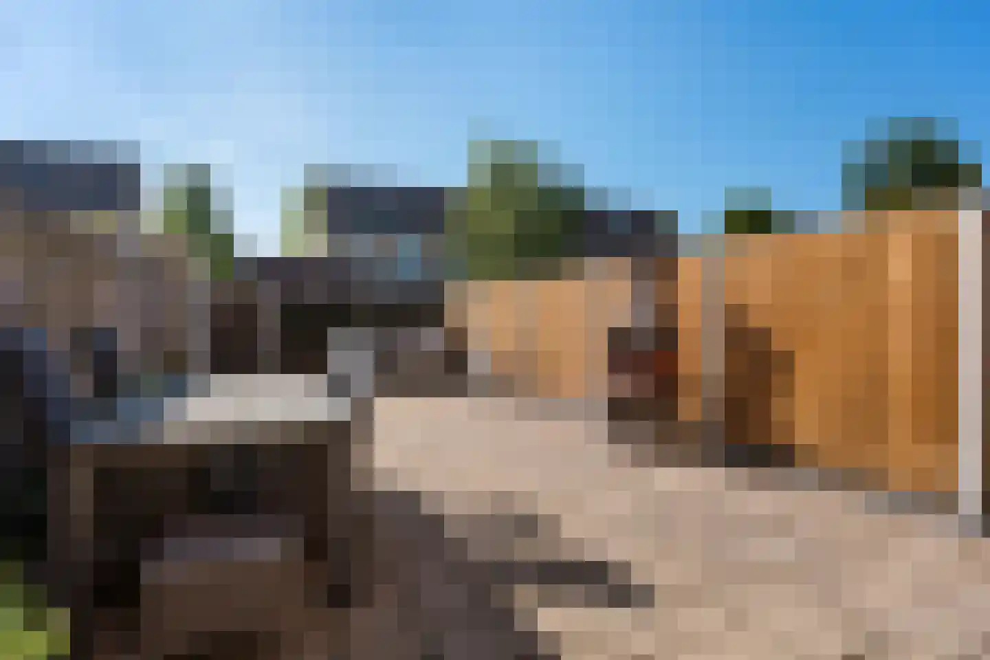 Robijnstoep 11 Assen thumbnail 37