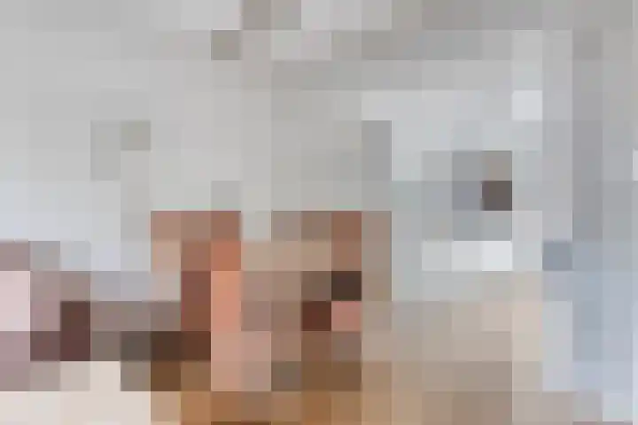 Robijnstoep 16 Assen thumbnail 10