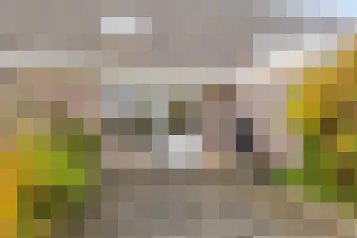 Robijnstoep 16 Assen thumbnail 25