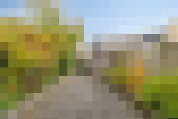 Robijnstoep 16 Assen thumbnail 26