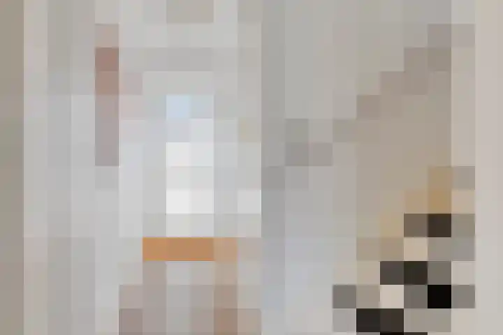 Robijnstoep 16 Assen thumbnail 6