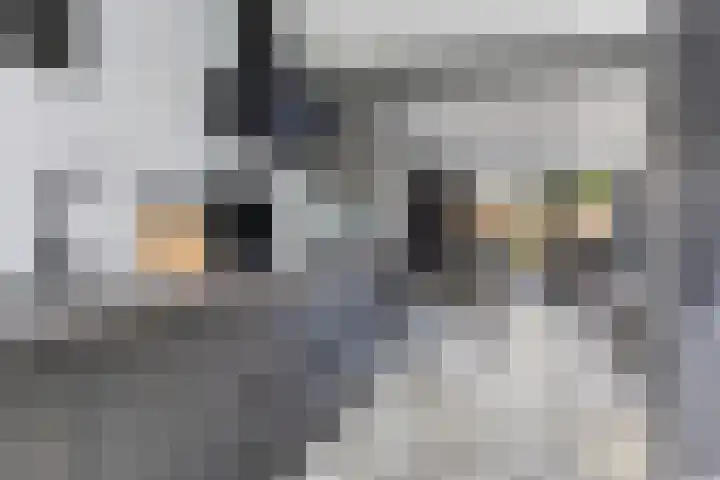 Robijnstoep 6 Assen thumbnail 10