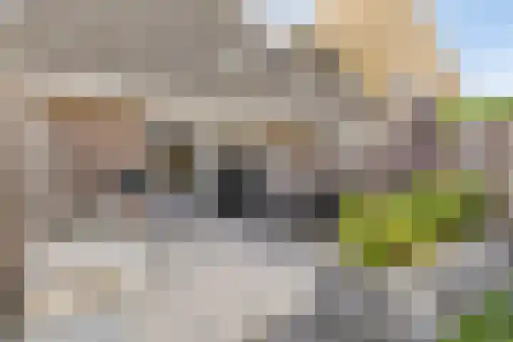 Robijnstoep 6 Assen thumbnail 24