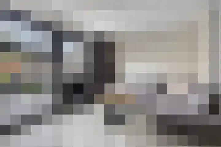 Robijnstoep 6 Assen thumbnail 4