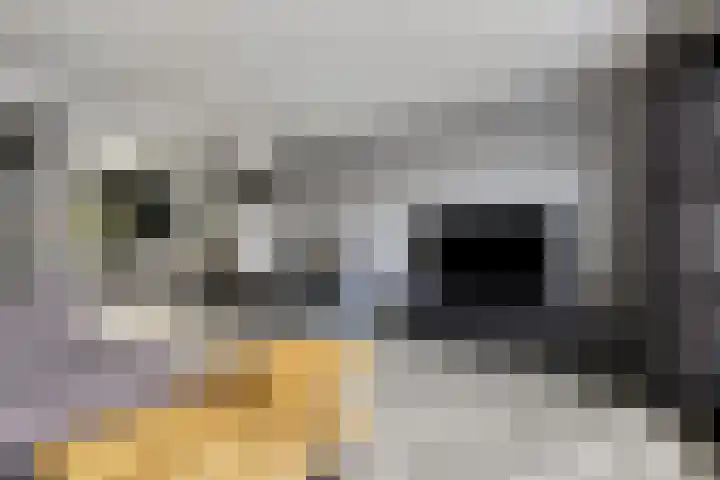 Robijnstoep 6 Assen thumbnail 6