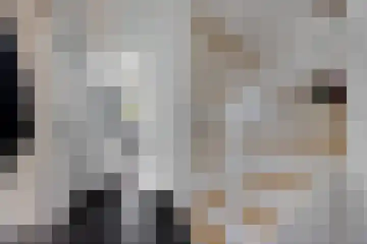 Robijnstraat 10 Groningen thumbnail 10