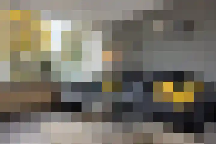 Robijnstraat 10 Groningen thumbnail 12