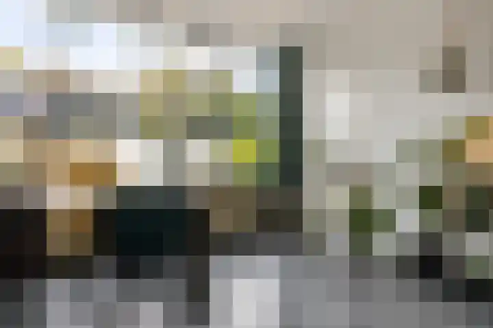 Robijnstraat 10 Groningen thumbnail 17