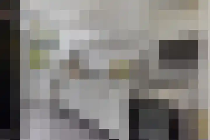 Robijnstraat 10 Groningen thumbnail 18