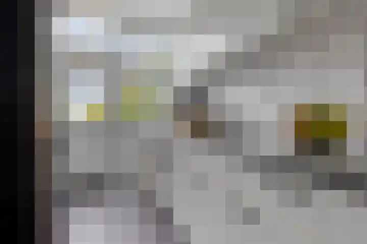 Robijnstraat 10 Groningen thumbnail 19