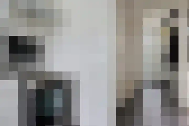 Robijnstraat 10 Groningen thumbnail 20