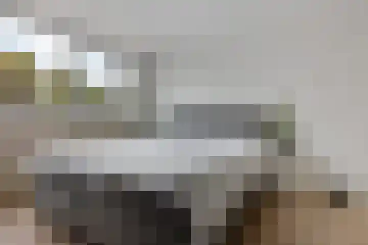 Robijnstraat 10 Groningen thumbnail 23