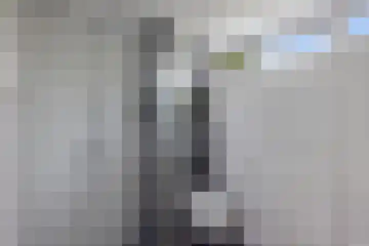 Robijnstraat 10 Groningen thumbnail 32