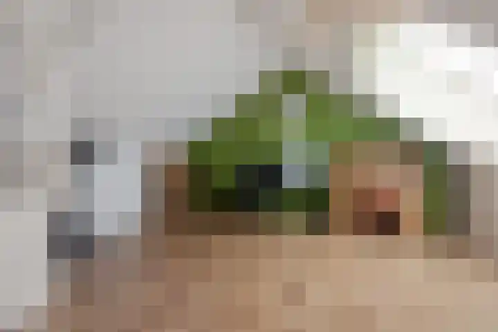 Robijnstraat 10 Groningen thumbnail 37