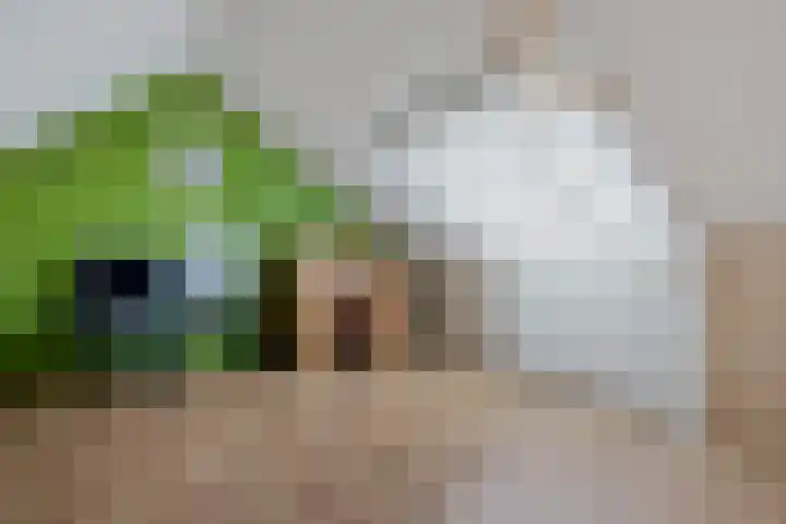 Robijnstraat 10 Groningen thumbnail 38