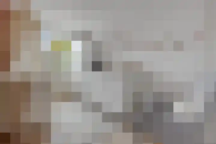 Robijnstraat 10 Groningen thumbnail 4