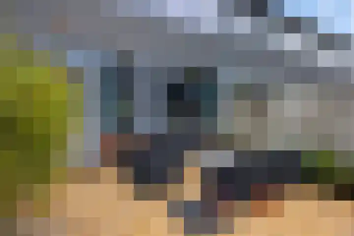 Robijnstraat 10 Groningen thumbnail 41