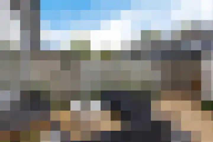 Robijnstraat 10 Groningen thumbnail 42