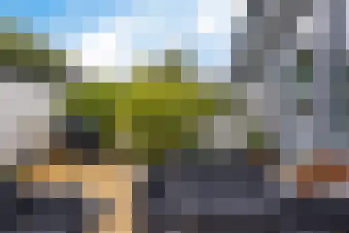 Robijnstraat 10 Groningen thumbnail 44